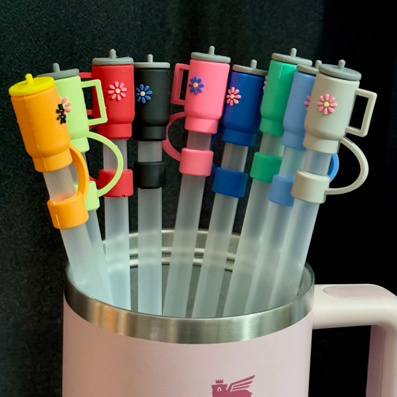 Stanley Straw +Topper Set (Cute & Functional Combo)