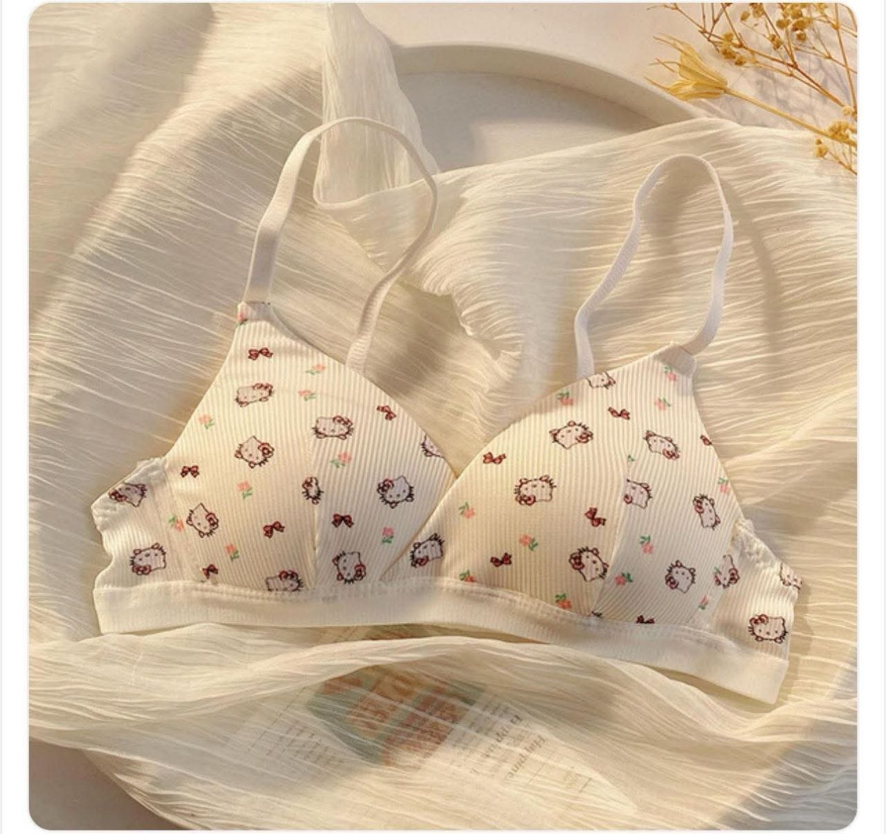 Kawaii Hello Kitty Lingerie Bra
